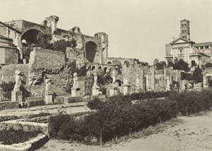 Forum Romanum, Basilica of Constantine, Temple of Romulus og House of the Vestal Virgins av Italian Photographer