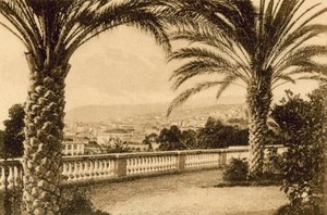 San Remo, From the Palm (s/hvitt bilde) av Italian Photographer