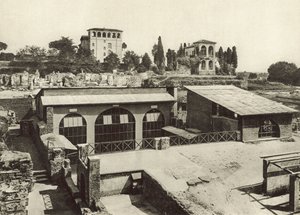 Palatinen, House of Livia av Italian Photographer