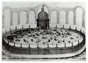 En kanin med en voliere for småfugler, fra Le Fabbriche e i Giardini dellEcc. Casa Barbariga, av D. Rossetti, gravert av G. Campana, utgitt 1702 av Italian School