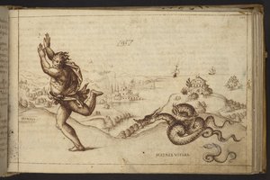 Legge til. 82955, f.134 Menneskeskikkelse forfulgt av slanger., fra Historia Animalium av Italian School
