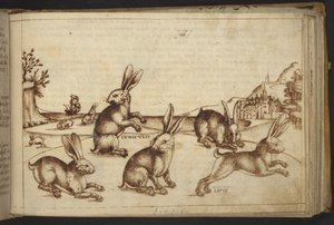 Legge til. 82955, f.165 Kaniner (