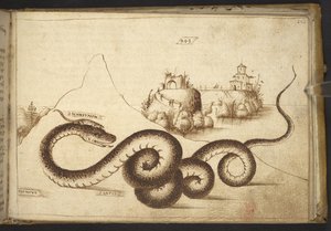 Legge til. 82955, f.242 En slange (