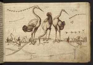 Legge til. 82955, f.33 Traner (