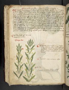 Legg til MS 41623 f.39v 