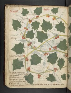 Legg til MS 41623 f.53v 