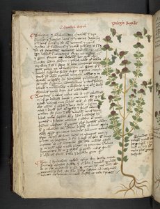 Legg til MS 41623 f.54v 