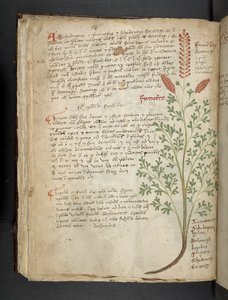 Legg til MS 41623 f.65v 