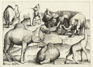 Dyremalerier fra det gamle Roma, Table, 3., pub. Antonio Lafrere 1528 av Italian School