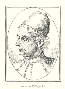 Antonio Pollajuolo (gravering) av Italian School