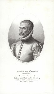 Carolus Clusius av Italian School