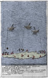 Korallfiske i Trapanibukta på Sicilia, en representasjon av små undervannsøyer hvor det dannes korallfat. Gravering fra "" Stato Presente della Sicilia"" av Arcangelo Leanti, Palermo 1761 av Italian School