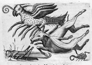 Ulike typer monstrøse dyr. Gravering fra "Monstrenes natur, deres årsaker og forskjeller" av Fortunio Selvomi (1577-1656), italiensk vitenskapsmann. 1646 av Italian School