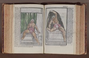 Kvinnelig anatomi, fra kommentarer om verdens anatomi med de største tilleggene, av Jacopo Berengario da Carpi (ca. 1460-c. 1530) utgitt i Bologna, 1521 (farget treblokktrykk) av Italian School
