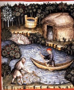 Fol.82r Fresh Fish, illustrasjon fra 