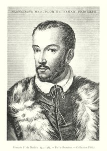 François Ier de Medici av Italian School