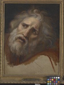 Head Of Laocoon (olje på lerret) av Italian School