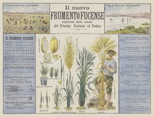 Den nye Fucense-hveten (farge litho) av Italian School