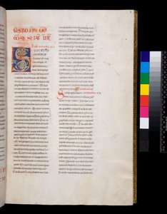 Ms 143. Gregor den store, Registrum Epistolarum, f.8r. Dekorert initial [S] med hvite vinbladsfyllinger og slutter av Italian School