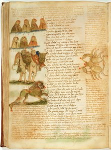 Ms Ital 483 P.4.7 f.156v Gemini, Leo and Cancer, fra 