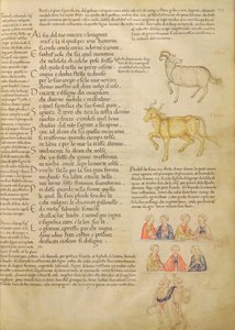 Ms Italien 87 fol.171 Side som illustrerer astrologiske tegn, fra 