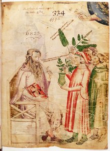 Ms Lat 6823 fol.1 Menn som presenterer planter til en ukjent mann, fra De Herbis av Manfredus de Monte Imperiali av Italian School