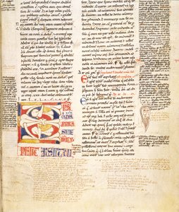 Ms. McClean 135, f.96r: detalj av en planteform historikert initial C fra Gratians Decretum, sent på 1100-tallet av Italian School