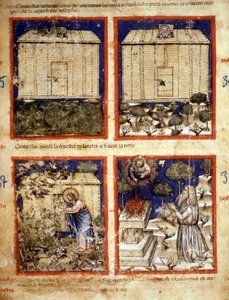 Noahs ark, miniatyr hentet fra codex 212 (eller Padovano Codice eller Bible of Padua) 1390-1400 Rovigo, Accademia dei Concordi av Italian School