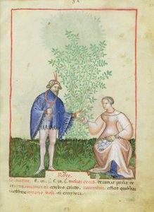 Nouv Acq Lat 1673 fol.83 Roses, fra Tacuinum Sanitatis, ca. 1390-1400 av Italian School