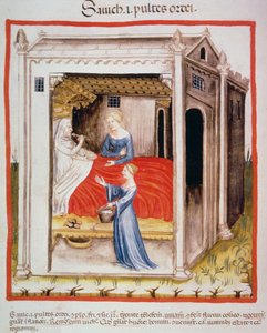 Nova 2644 fol.44v Smaker byggsuppe, fra Tacuinum Sanitatis av Italian School