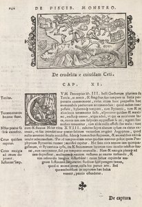 Side 740 fra Nordens historie av Magnus Olaus, Roma 1565 (trykk og gravering) av Italian School