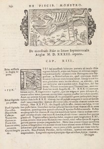 Side 742 fra History of the Northern Gentivus av Magnus Olaus, Roma 1565 (trykk og gravering) av Italian School