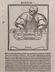 Side fra Musica theorica av Lodovico Fogliani (1475?-1542) (eller Ludovico Foliani) musikkteoretiker av Italian School