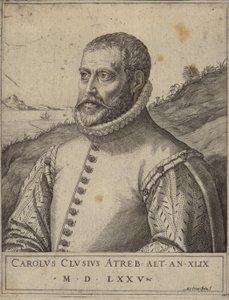 Portrett av Carolus Clusius av Italian School