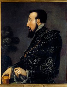 Portrett av Henrik II, konge av Frankrike (1519-1559) Maleri av den italienske skolen. Det 16. århundre. Søn 0,58x0,46 m Chantilly, museum Conde av Italian School