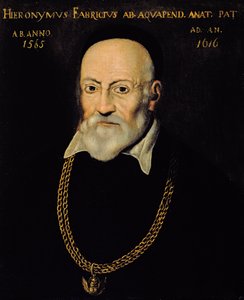 Portrett av Hieronymus Fabricius