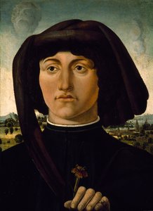 Portrett av en ung mann med en rosa blomst, ca. 1475-85 (tempera på tre) av Italian School