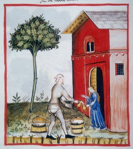 Salg av surmelk (c.59v), Tacuinum Sanitatis, Codex Vindobonensis Series Nova 2644 av Italian School