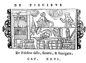 Salting, tørking og røyking av fisk, illustrasjon fra Historia de Gentibus Septentrionalibus av Olaus Magnus (1490-1558), utgitt i Roma, 1555 av Italian School