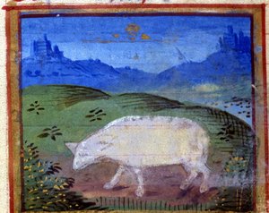 Tegn på væren. Italiensk horoskop, midten av 1400-tallet. av Italian School