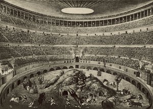 Colosseum, jakten på det store villdyret (litho) av Italian School