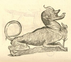 illustrasjon av Canis monstroso capite fra Aldrovandis History of Monsters, 1642 av Italian School