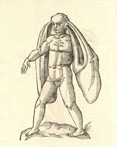 illustrasjon av Homo Fanesius auritus fra Aldrovandis History of Monsters, 1642 av Italian School