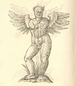 illustrasjon av et bevinget monster fra Aldrovandis History of Monsters, 1642 av Italian School