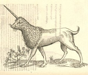 illustrasjon av en Camphurch fra Aldrovandis History of Monsters, 1642 av Italian School