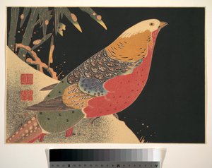  av Ito Jakuchu
