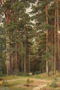 En sommerdag, Merikiul, 1895 av Ivan Ivanovich Shishkin