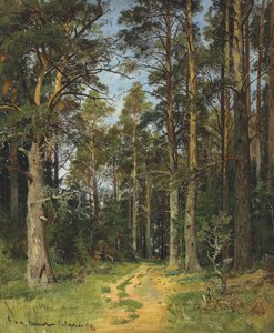 Siverskaya, 1896.