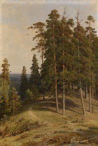 Furuskogen, 1895 av Ivan Ivanovich Shishkin