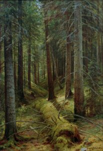 I den russiske skogen